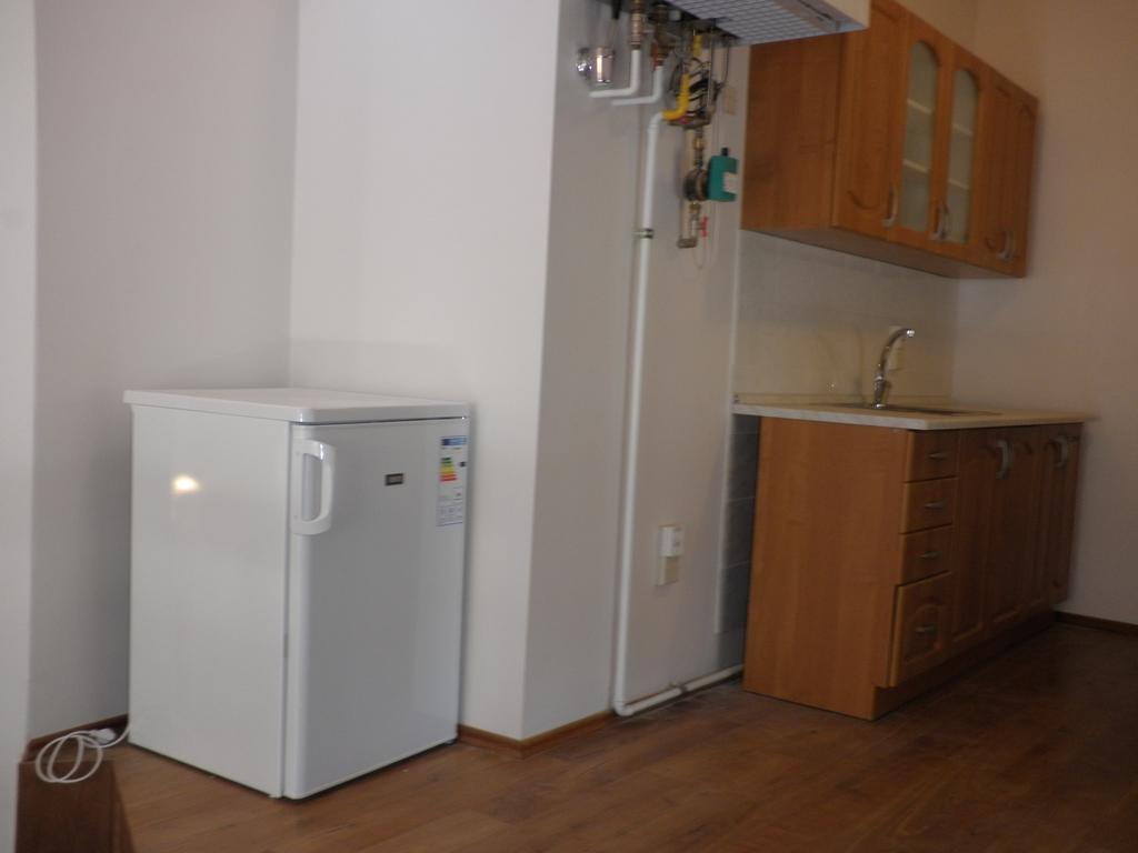 Apartment Paradise Michalska プラハ 部屋 写真